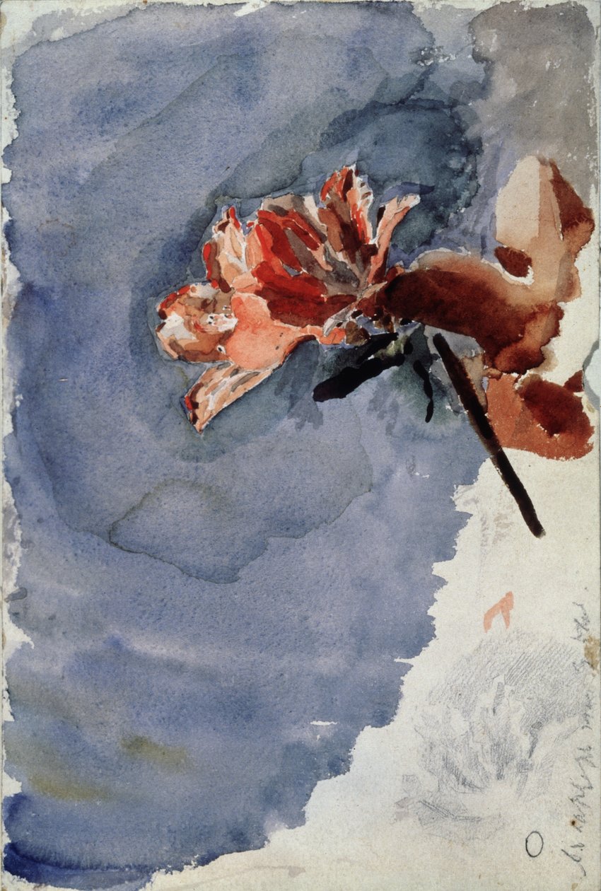 Rød asalea, 1886-1887 av Mikhail Aleksandrovich Vrubel