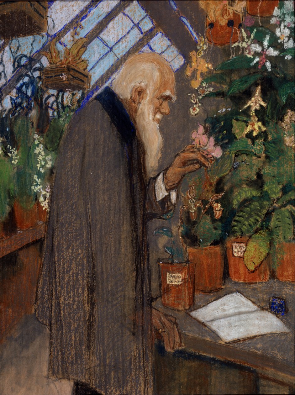 ""Portrett av vitenskapsmann Charles Robert Darwin (1809-1882) som undersøker planter i Langdon-Down drivhuset"" Maleri av Mikhail Dmitrievich Ezuchevsky (1880-1928) 1920 State Darwin Museum, Moskva av Mikhail Dmitrievich Ezuchevsky