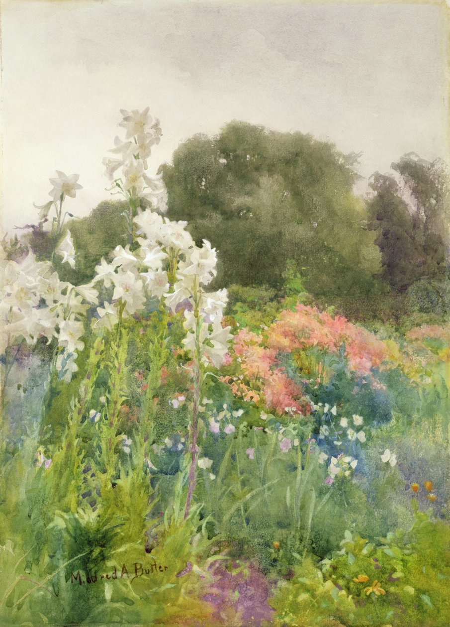 Madonna Lilies (wc på papir) av Mildred Anne Butler