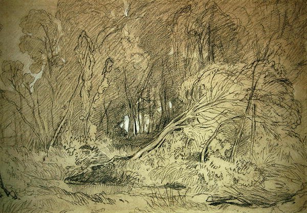 A Clearing in a Wood (svart og hvitt kritt på papir) av Miles Edmund Cotman