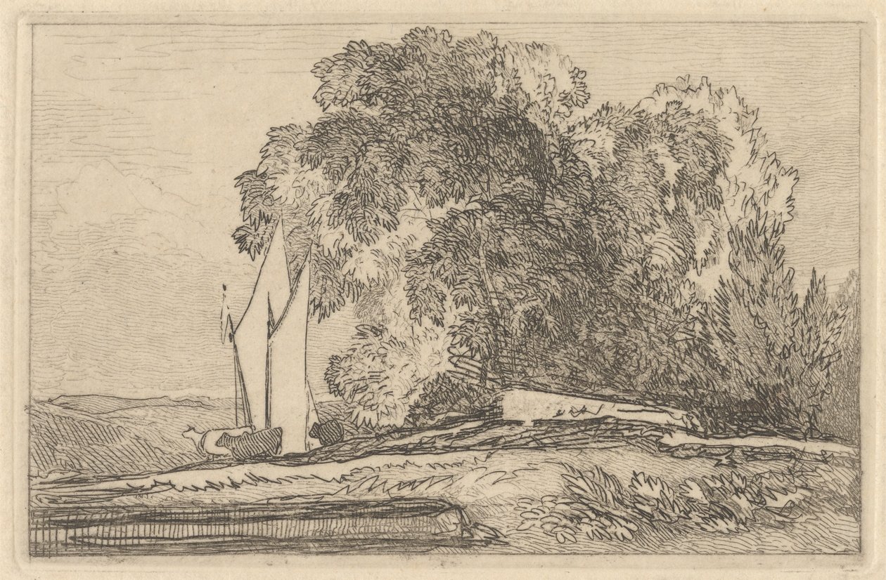 Studie av trær på bredden av Yare av Miles Edmund Cotman