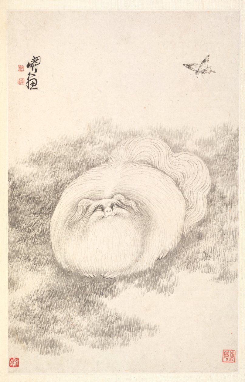 Katt og sommerfugl, 1788. av Min Zhen