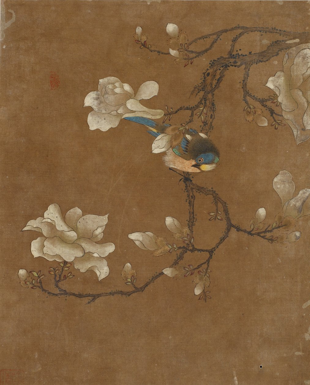 Ti bilder av fugler og blomster (farge på silke) av Ming Dynasty Chinese School