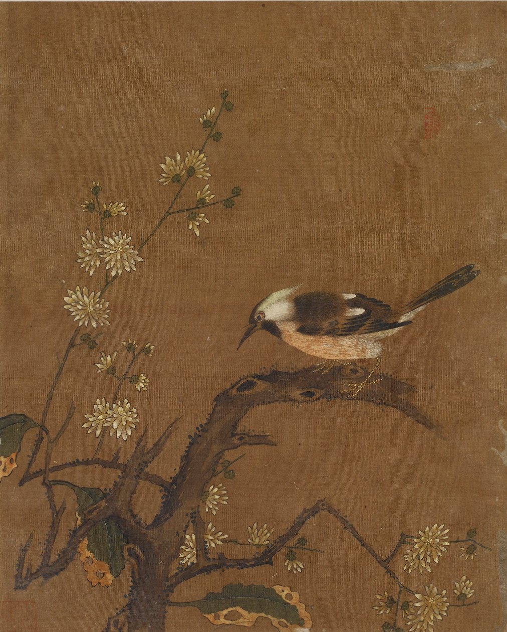 Ti bilder av fugler og blomster (farge på silke) av Ming Dynasty Chinese School