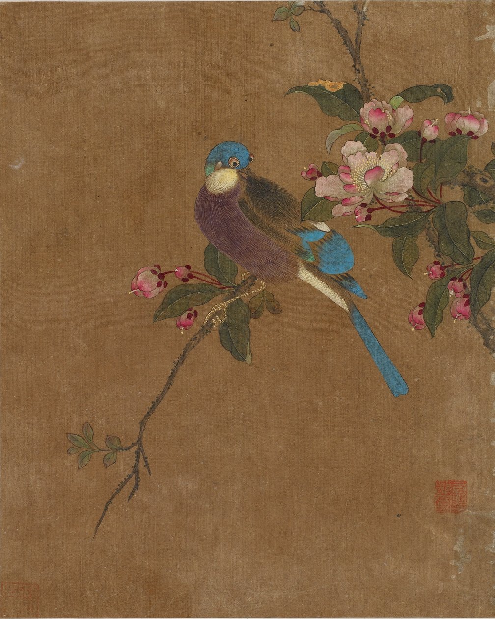 Ti bilder av fugler og blomster (farge på silke) av Ming Dynasty Chinese School