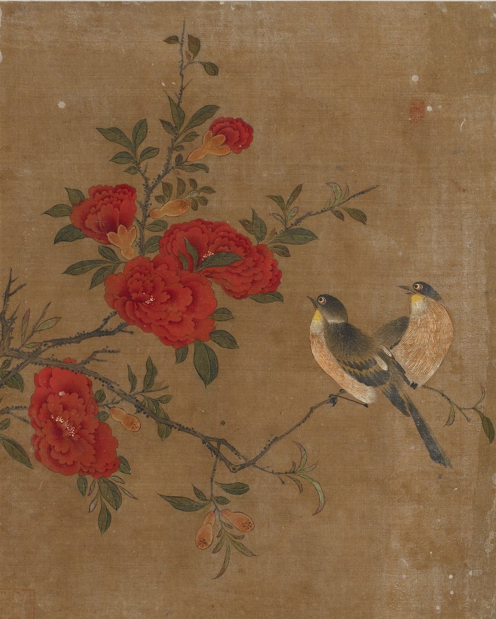 Ti bilder av fugler og blomster (farge på silke) av Ming Dynasty Chinese School
