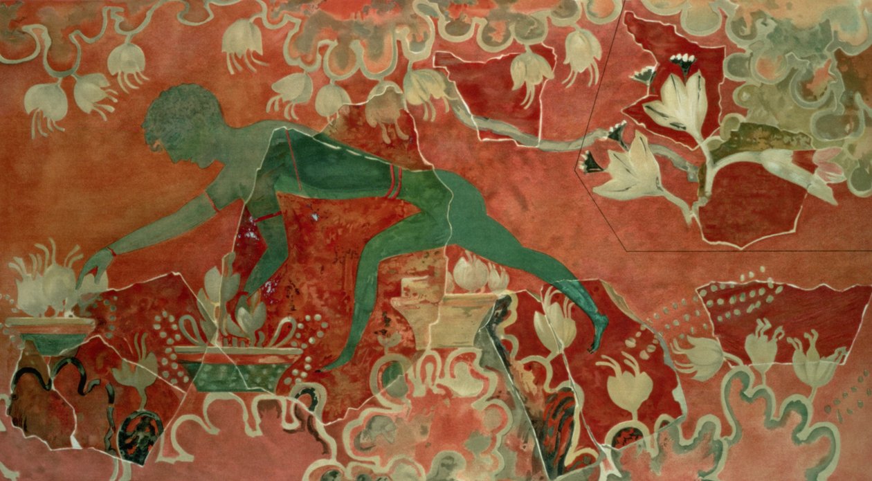 Gutt fra freskomaleriet Blue Monkey, Knossos-palasset, Kreta, ca. 1500 f.Kr. (freskomaleri) av Minoan