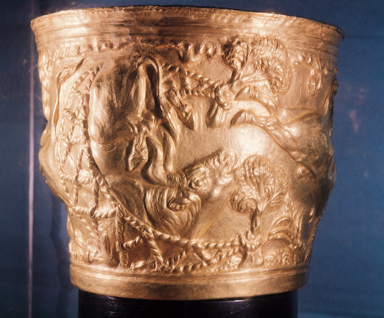 Cup, som viser fangsten av en vill okse, funnet i den kongelige graven til Vaphio, Sparta, sent Minoan I, ca. 1500 f.Kr. (gull) (se også 148823) av Minoan