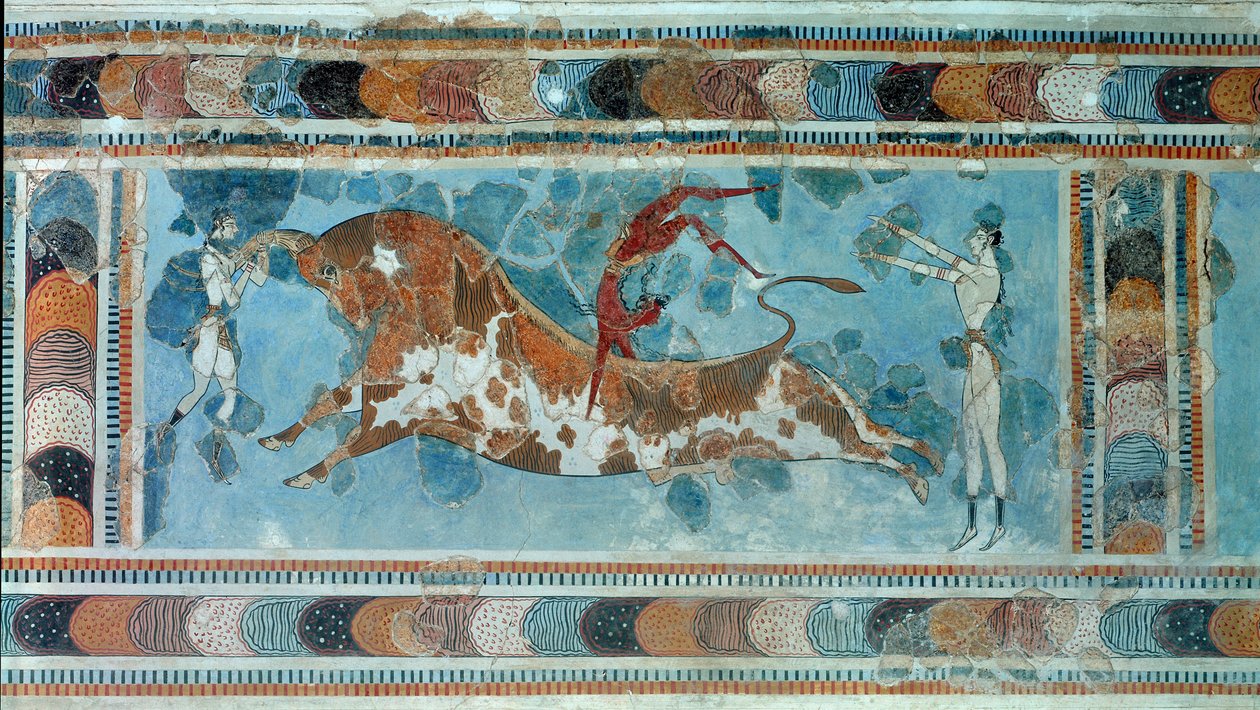 Minoisk sivilisasjon: "" scene av taurokathapsia (eller taurocatapsia), kretisk sport som består av å hoppe på ryggen av en okse""" Fresco fra palasset til kong Minos a Cnossos (Knossos). 1700-1400 f.Kr. Heraklion, arkeologisk museum av Minoan