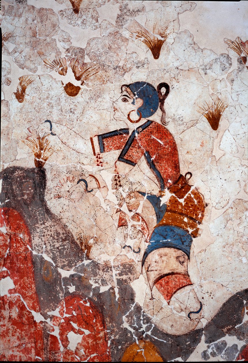 Minoisk sivilisasjon: kvinner plukker safran. Detalj av en freske fra det lustrale bassenget til Xeste 3 i Akrotiri (Thera), Santorini. Dim. 244x266 cm 1500-tallet f.Kr. Santorini, Samling av fresker av Akrotiri a Thera - Minoisk sivilisasjon: kvinner som  av Minoan