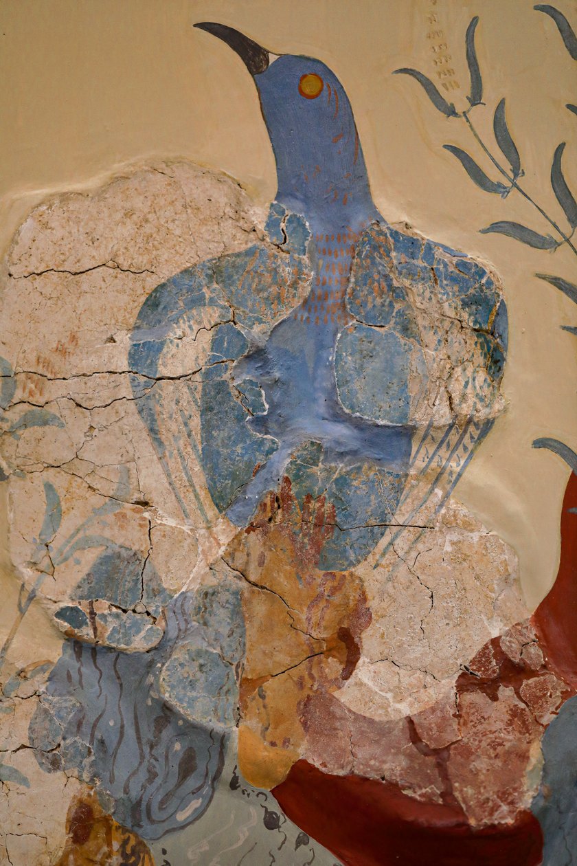 "Blue bird" Fresco eller "The blue bird of crete". Knossos av Minoan