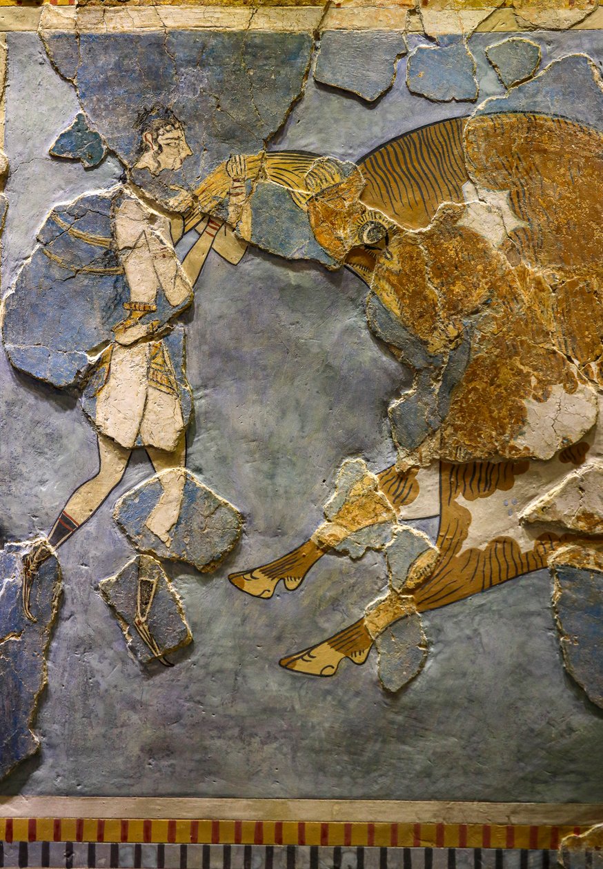 Detalj av Bull Leaping Fresco. Funnet i Knossos av Minoan