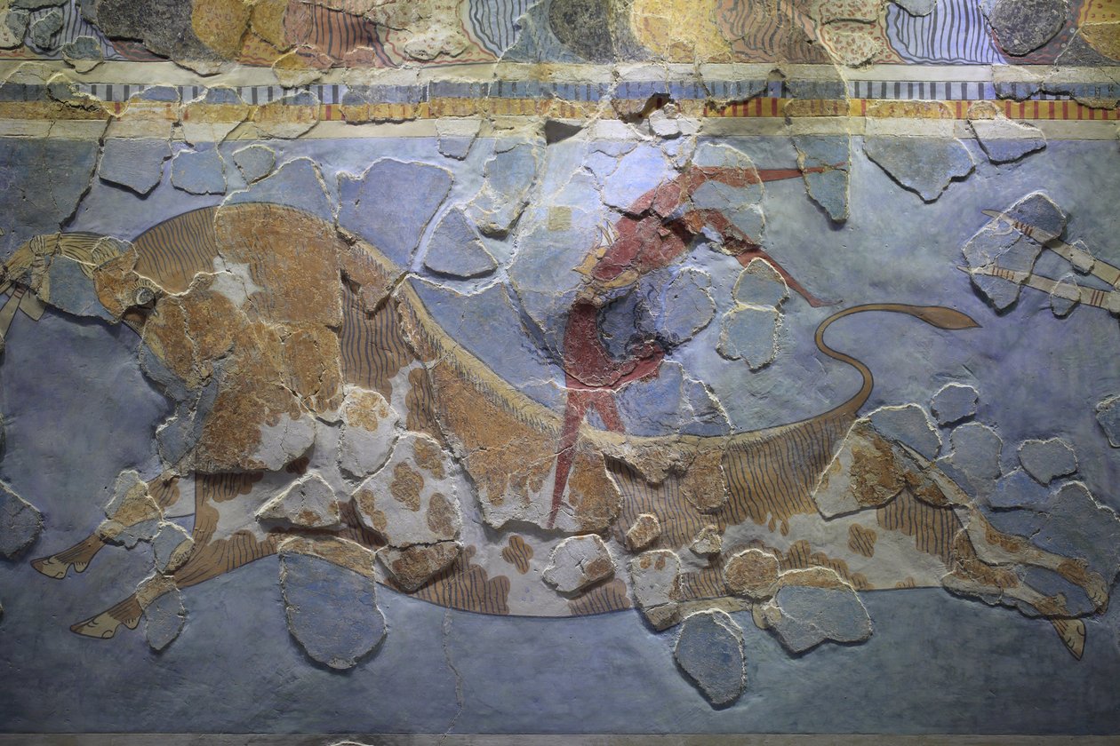Minoisk kunst. Fresken "Bull-Leaping". Oksehoppscene som viser hvordan denne sporten ble utført. Fresken ble funnet på østsiden av palasset i Knossos av Minoan