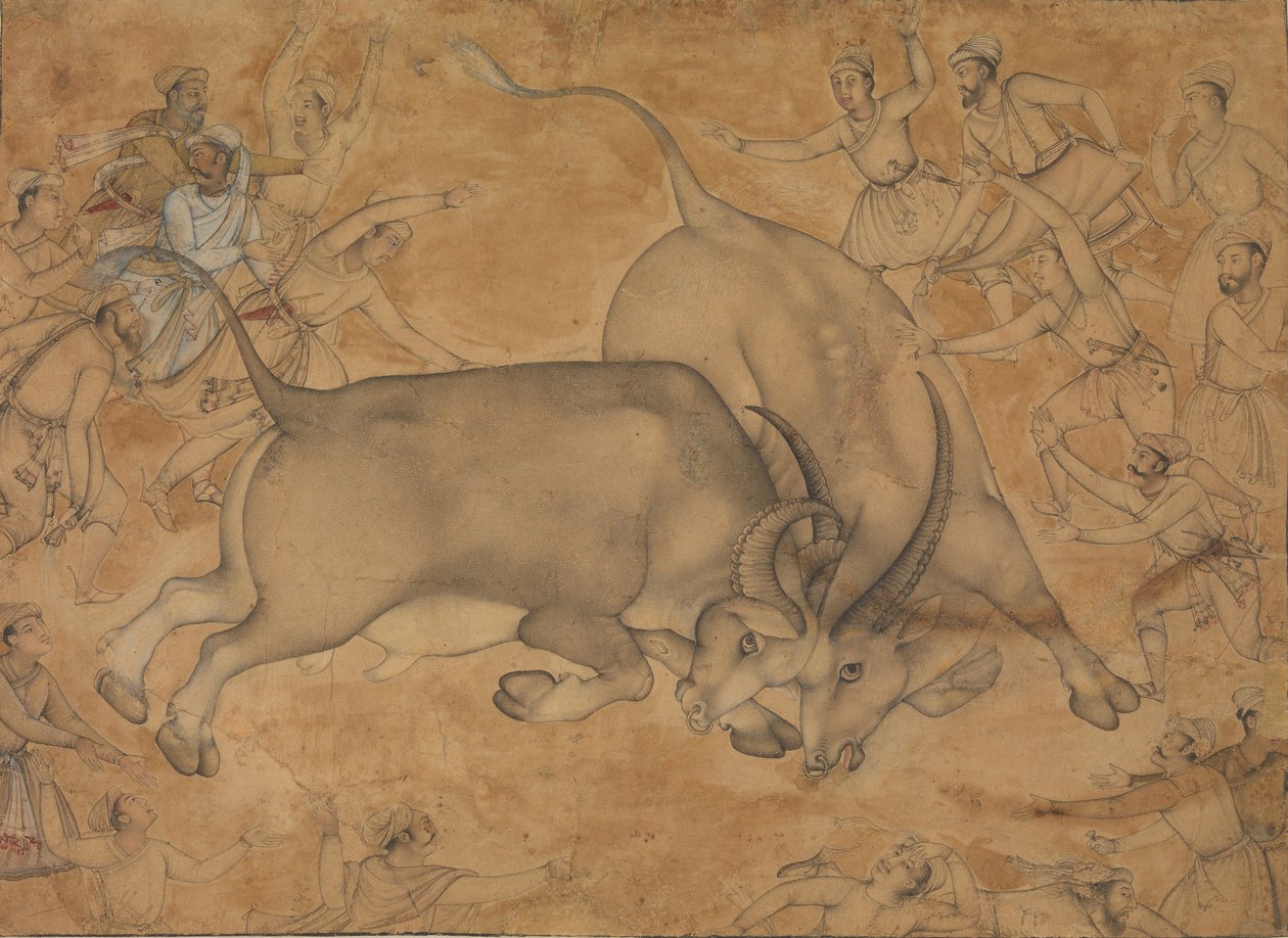 Buffaloes in Combat, slutten av 1500-tallet. av Miskin.