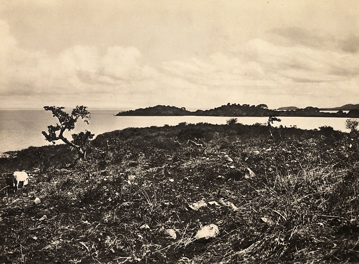 Bygge et imperium i den fascistiske tidsalderen: Lake Tana. Etiopia, 09.05.1936 (s/hvitt-bilde) av Modestino Baldinetti