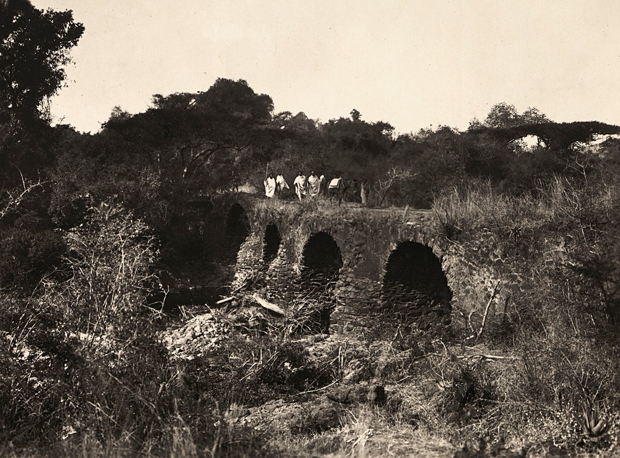 Bygge et imperium i den fascistiske tidsalderen: Portugisisk bro, 09.05.1936 (s/hvitt-bilde) av Modestino Baldinetti