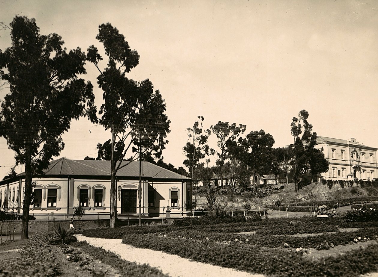 Bygge et imperium i den fascistiske tidsalderen: krets av embetsmenn i Asmara, 09.05.1936 (s/hvitt-bilde) av Modestino Baldinetti
