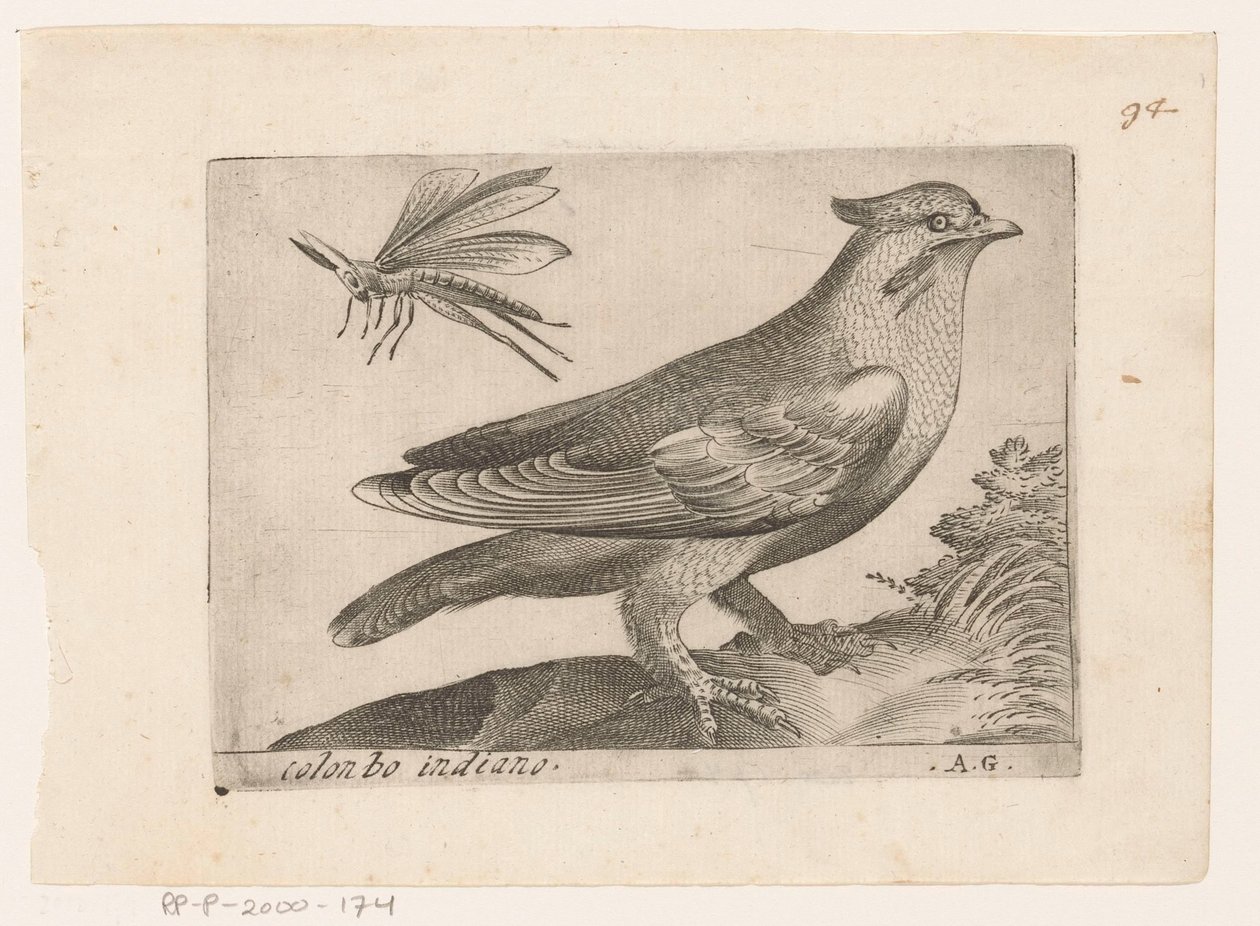 Pestvogel (Bombycilla garrulus) Colonbo indiano (tittel på objekt) Vogels (serietittel) av Monogrammist AG