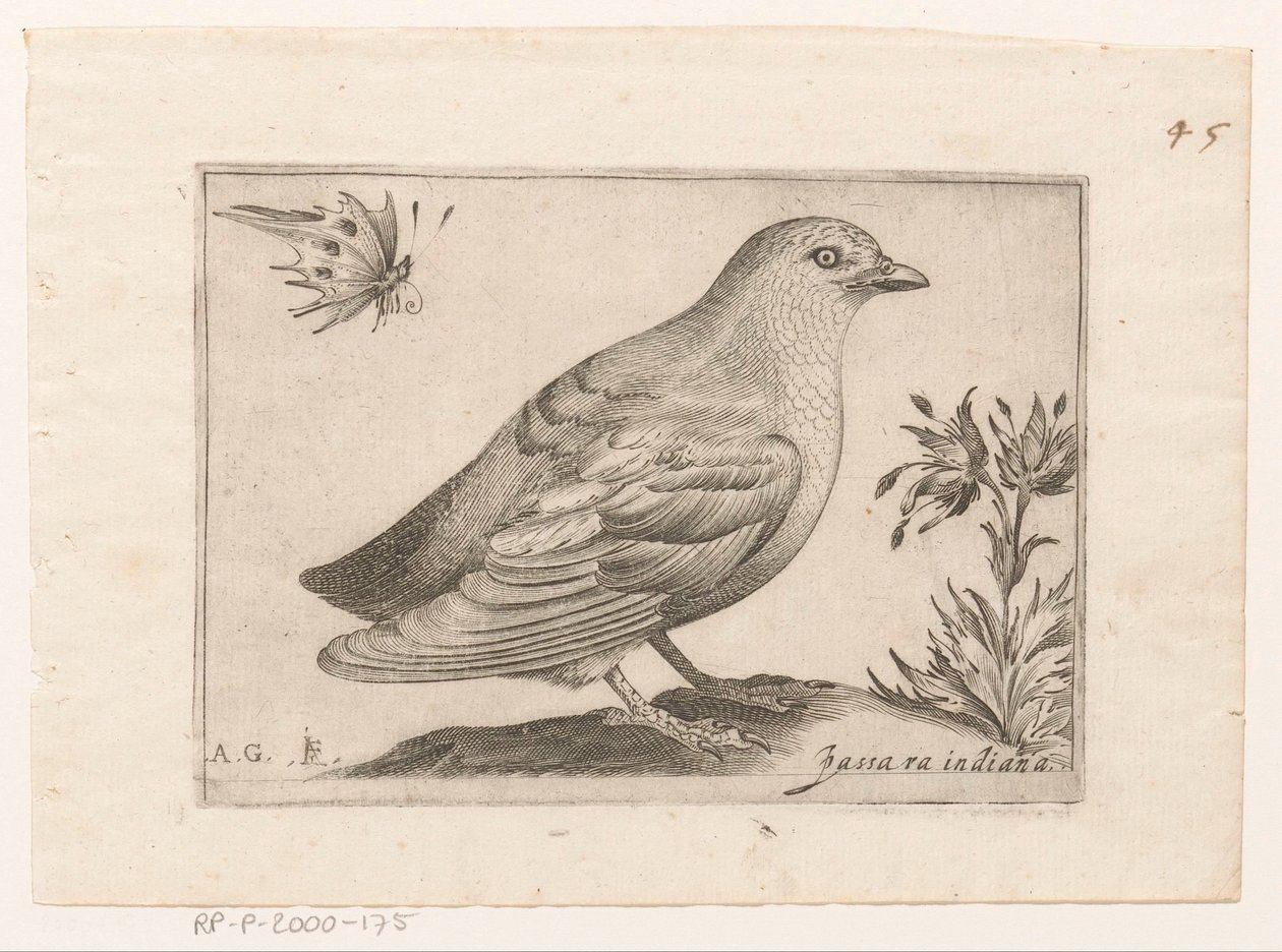 Vogel Passra Indiana (title on object) Vogels (series title)   1364342   no       norwegian Successfully Translated  Original: Paard en wagen voor een huis Translat: Paard en wagen voor een huis 1372641 no norwegian Successfully Translated Original: The Tr av Monogrammist AG