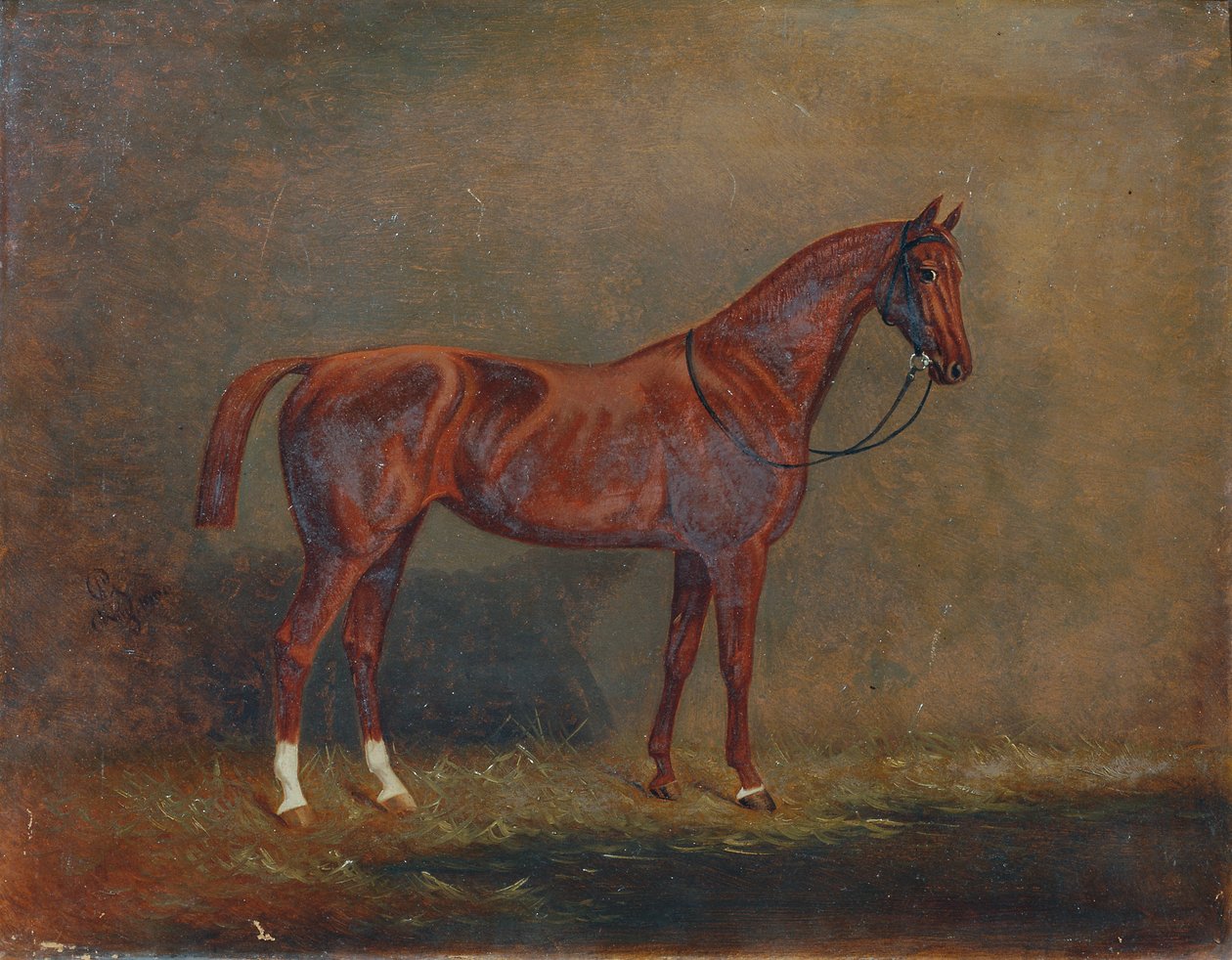 Portrett av en ridehest av Monogrammist A. G.