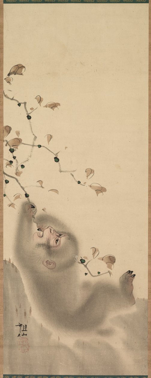 Monkey som henger på en gren av Mori Sosen