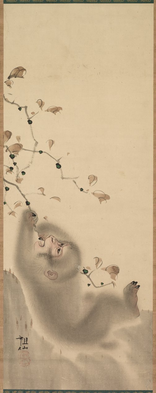 Monkey som henger på en gren, 1780. av Mori Sosen