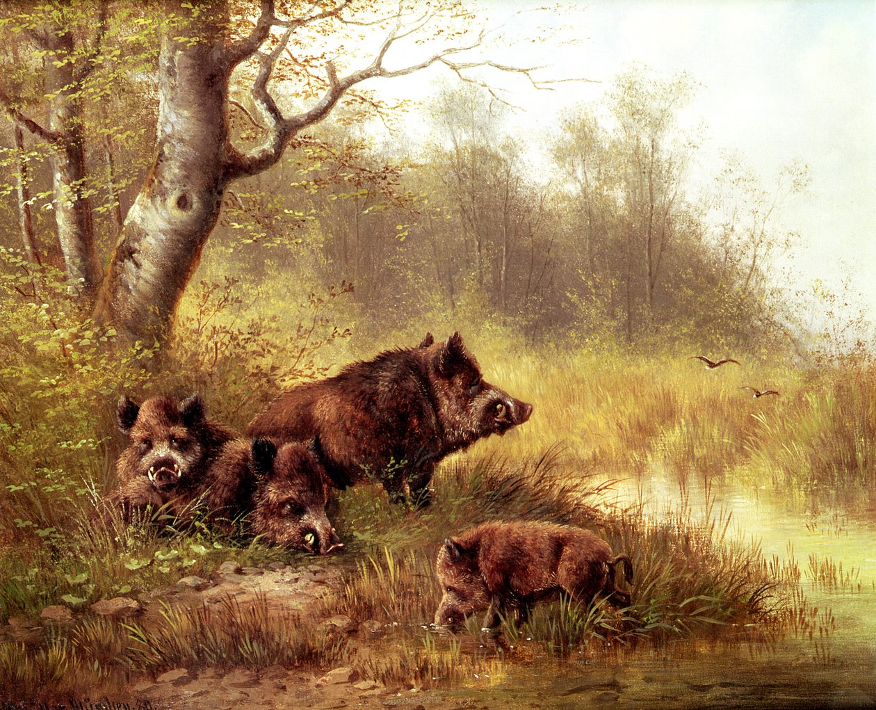 Villsvin i Schwarzwald, 1880 av Moritz Muller