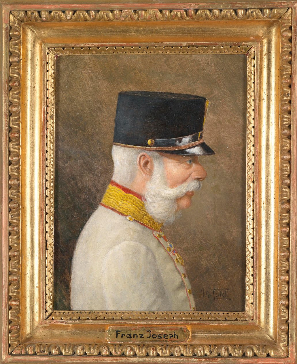 Portrett av Franz Joseph I av Østerrike av Moritz Ledeli