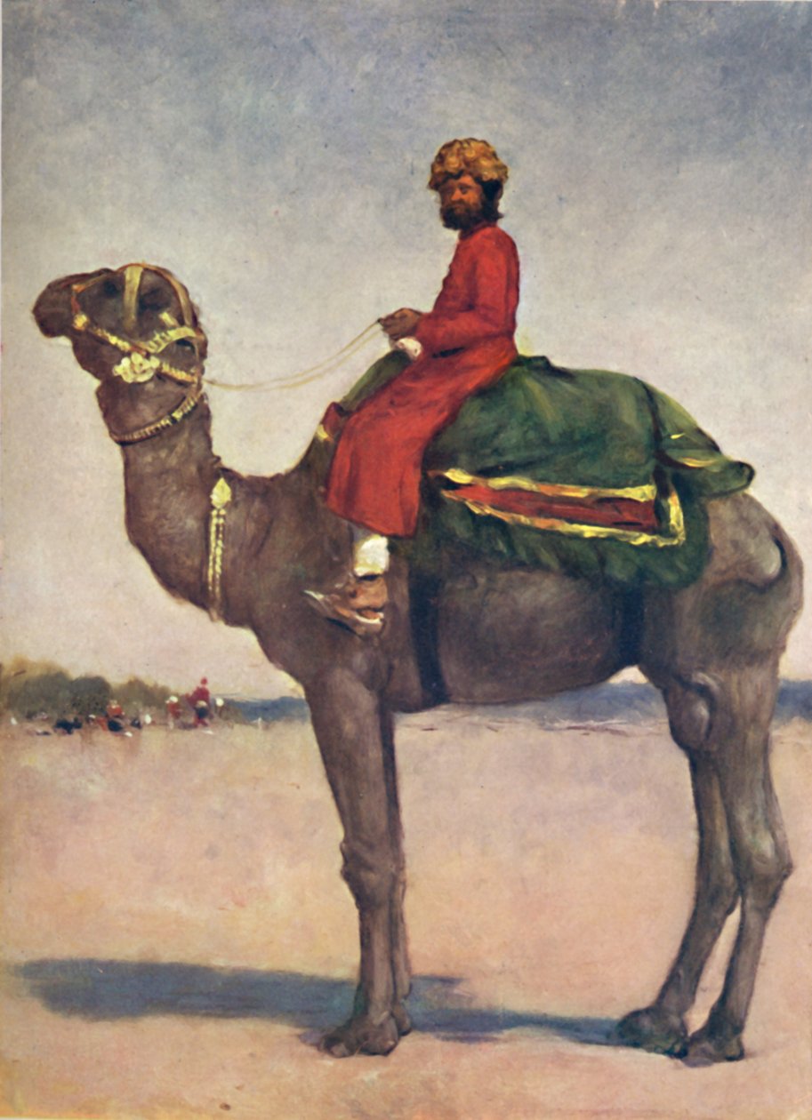 'En kamelrytter fra Kota', 1903 av Mortimer L Menpes