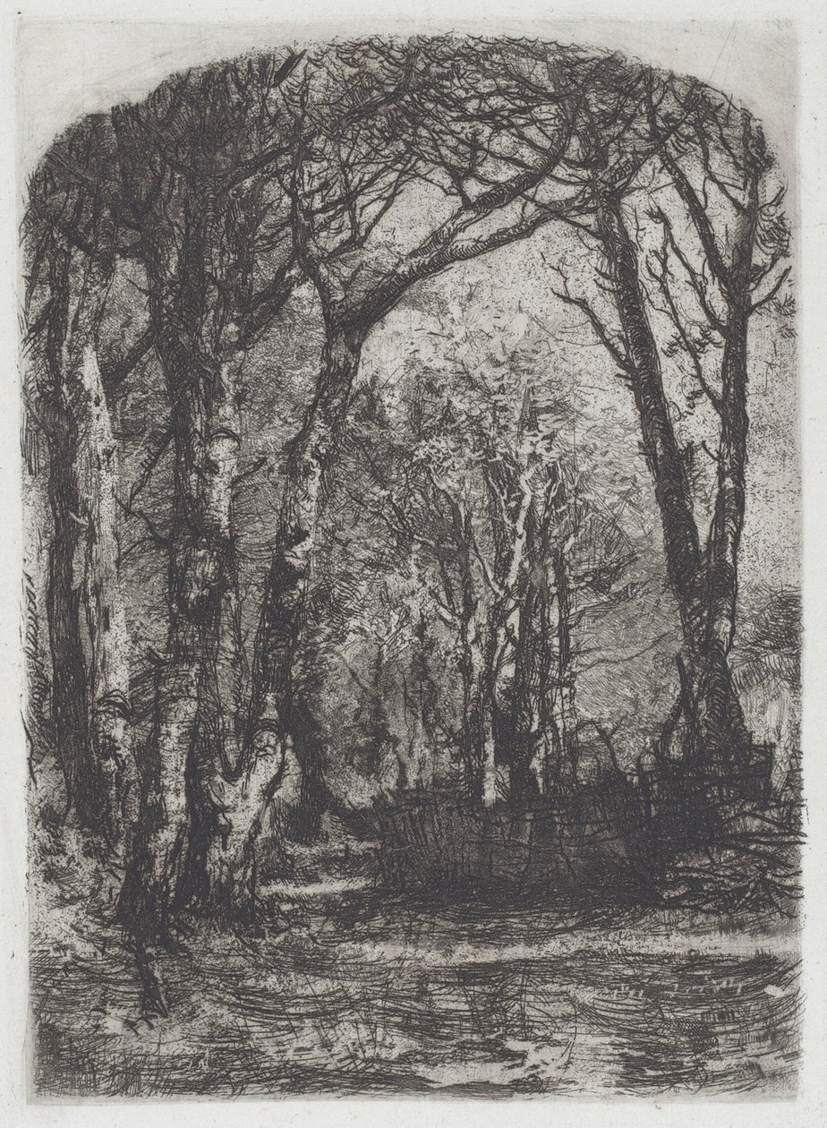 Woods [Bosco] av Mose Bianchi