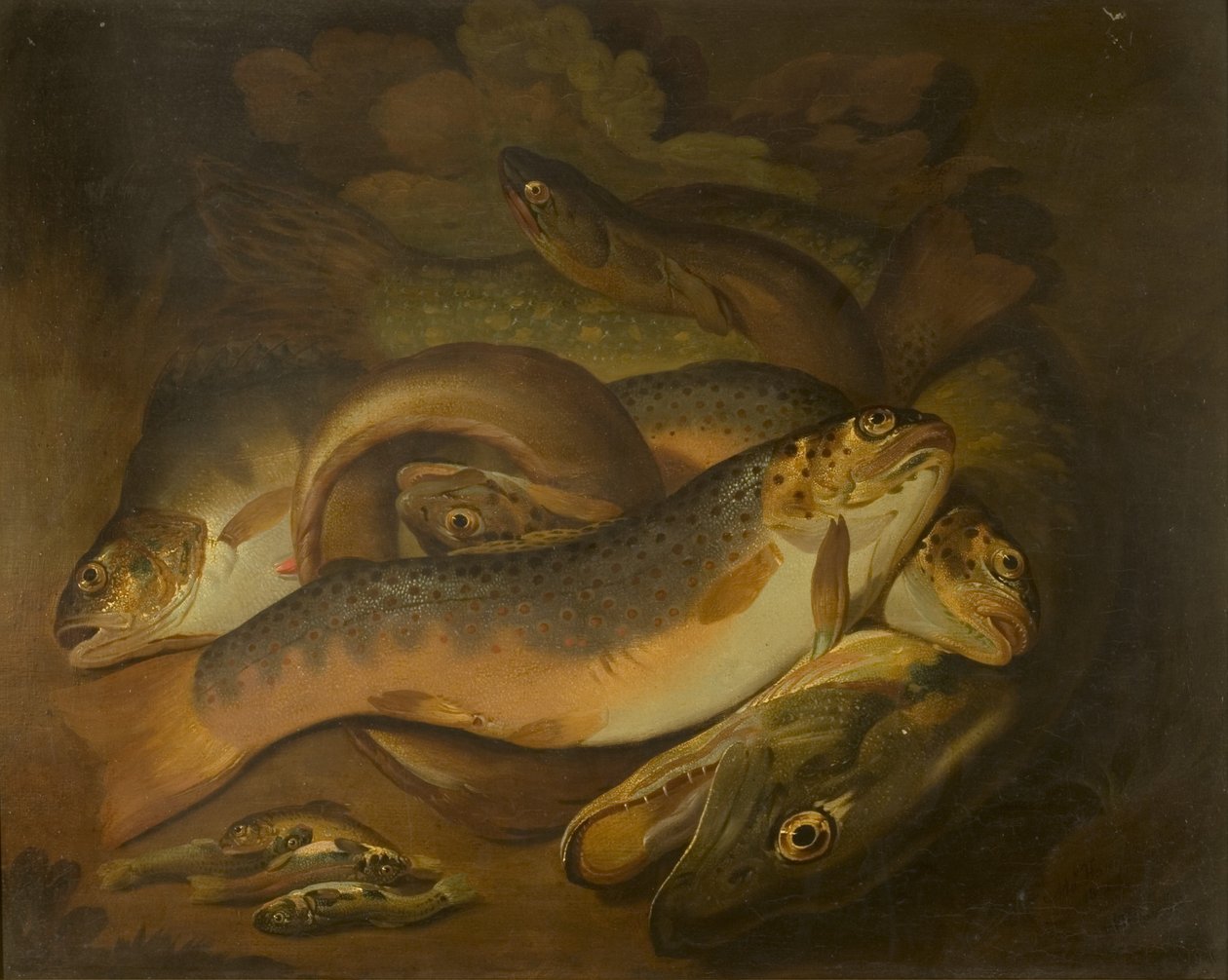 Fisker av Moses Haughton