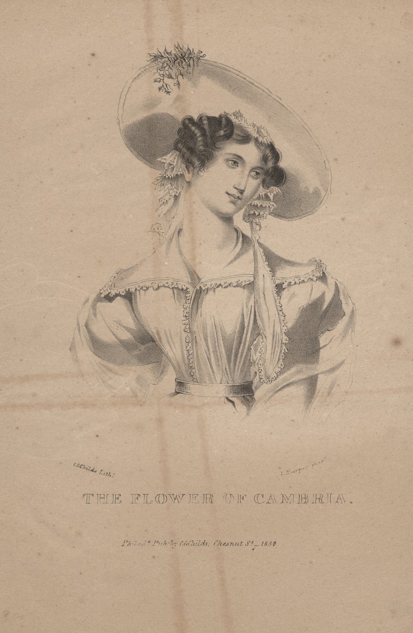 The Flower of Cambria, litho av C.G. Childs, 1830 av Moses Swett