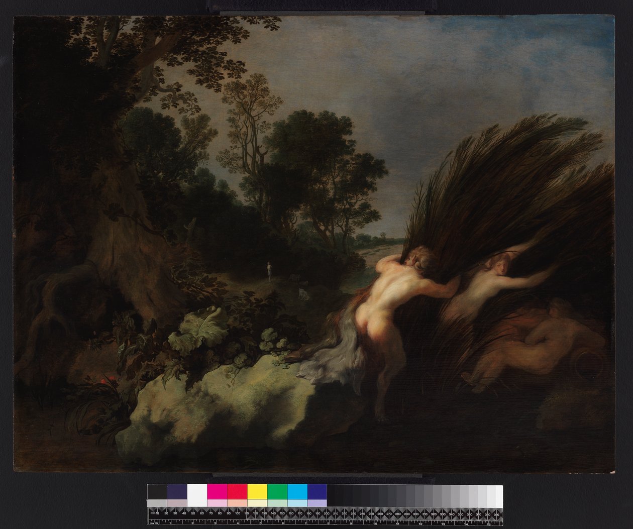 Et skogkledd landskap med Pan og Syrinx, før 1648 av Moyses or Moses Matheusz. van Uyttenbroeck