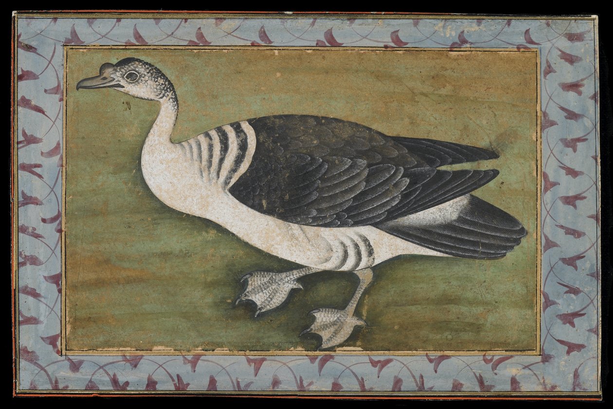En kamand, maleri, sent på 1700-tallet av Mughal School