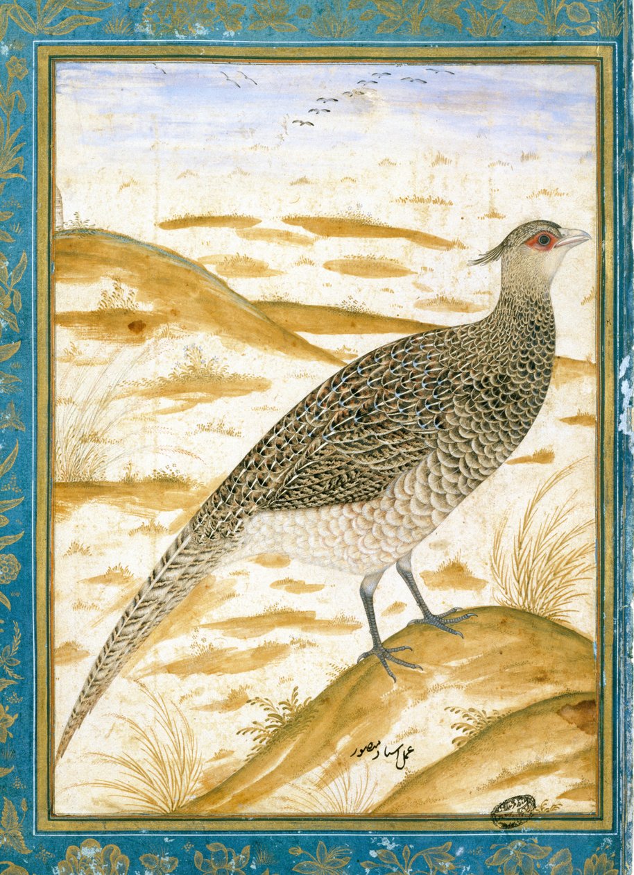 En Himalayas cheer-fasan mot et sandlandskap, ca. 1620 av Mughal School