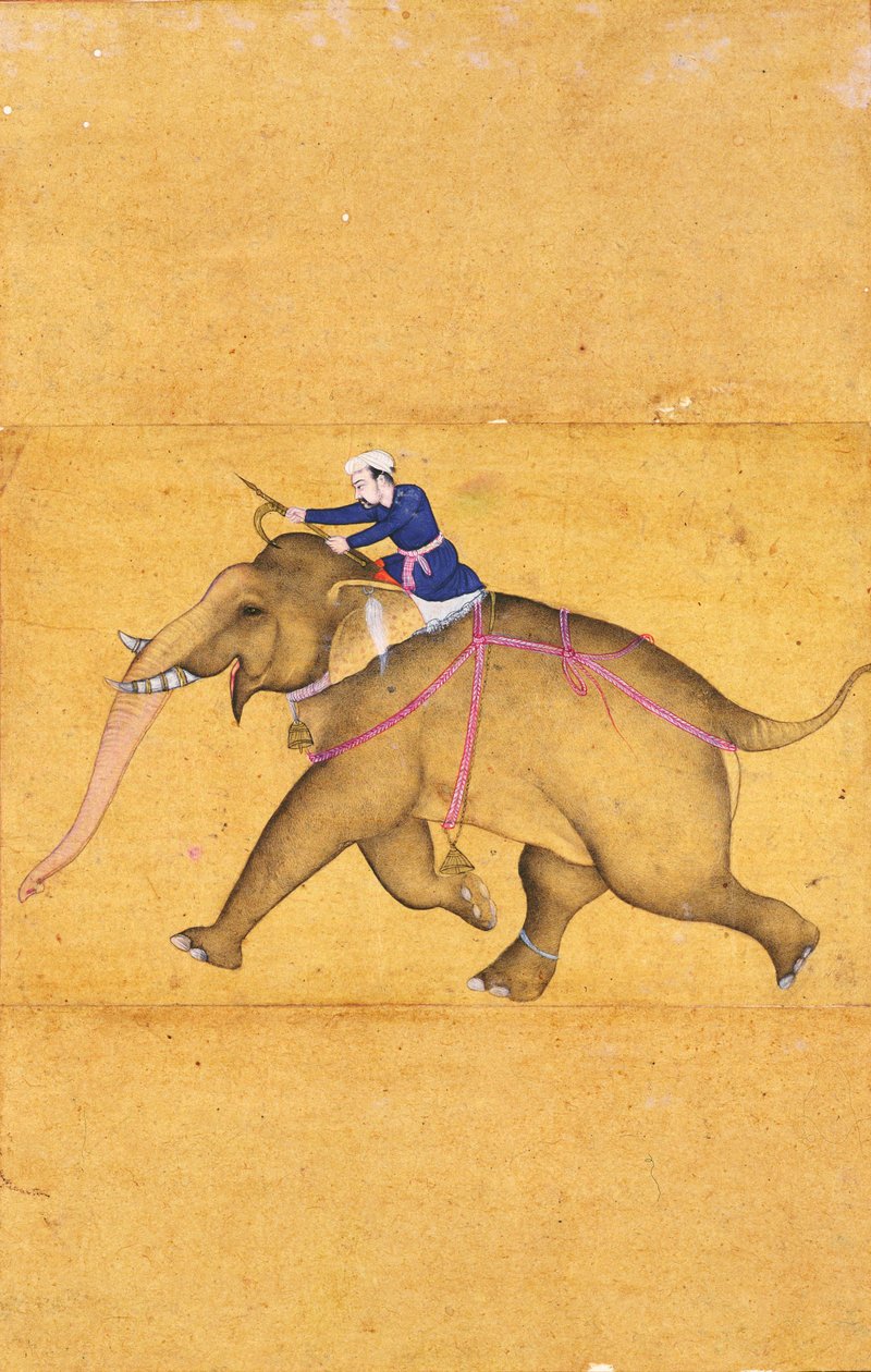 En Mahout som rir på en elefant, fra Large Clive Album (strektegning med fargevask på papir) av Mughal School