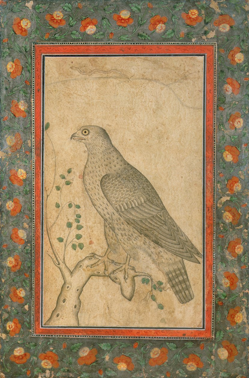 Falk satt på en løvstubbe, ca. 1650 av Mughal School