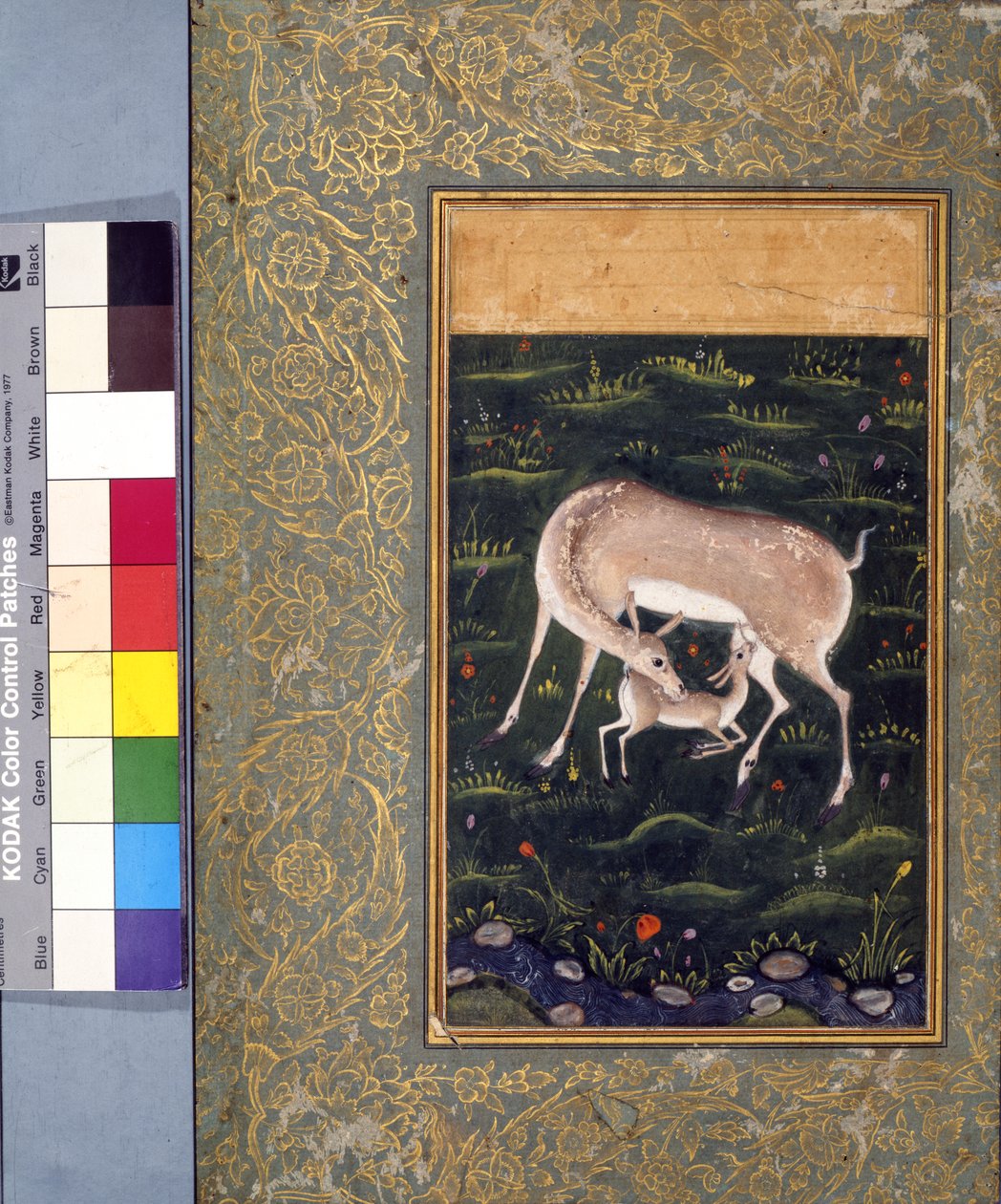 En doe som ammer fawn, ca. 1560 (ugjennomsiktig akvarell og gull på papir) [se også 6040456] av Mughal School