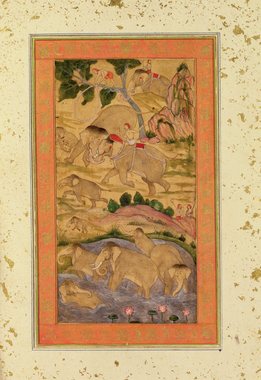 Hunters Capturing Elephants, fra Large Clive Album, ca. 1760-65 (tonet tegning på papir) av Mughal School