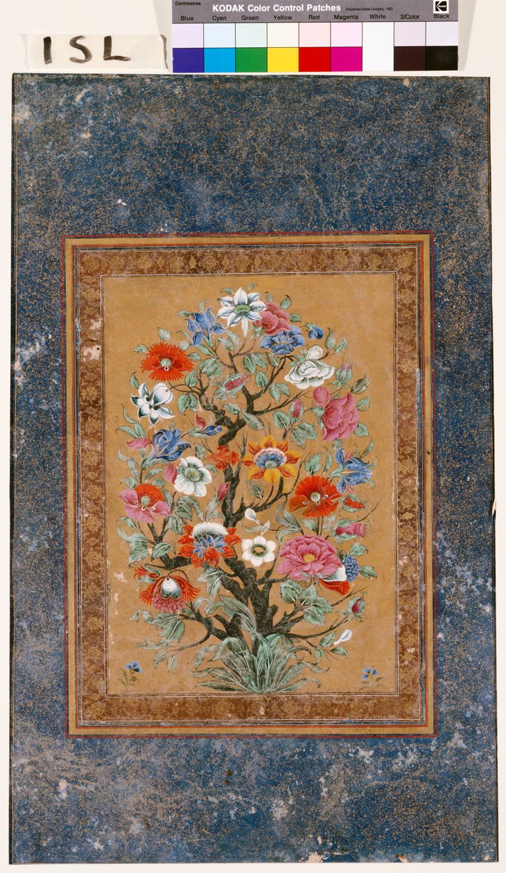 Mytisk plante av Mughal School