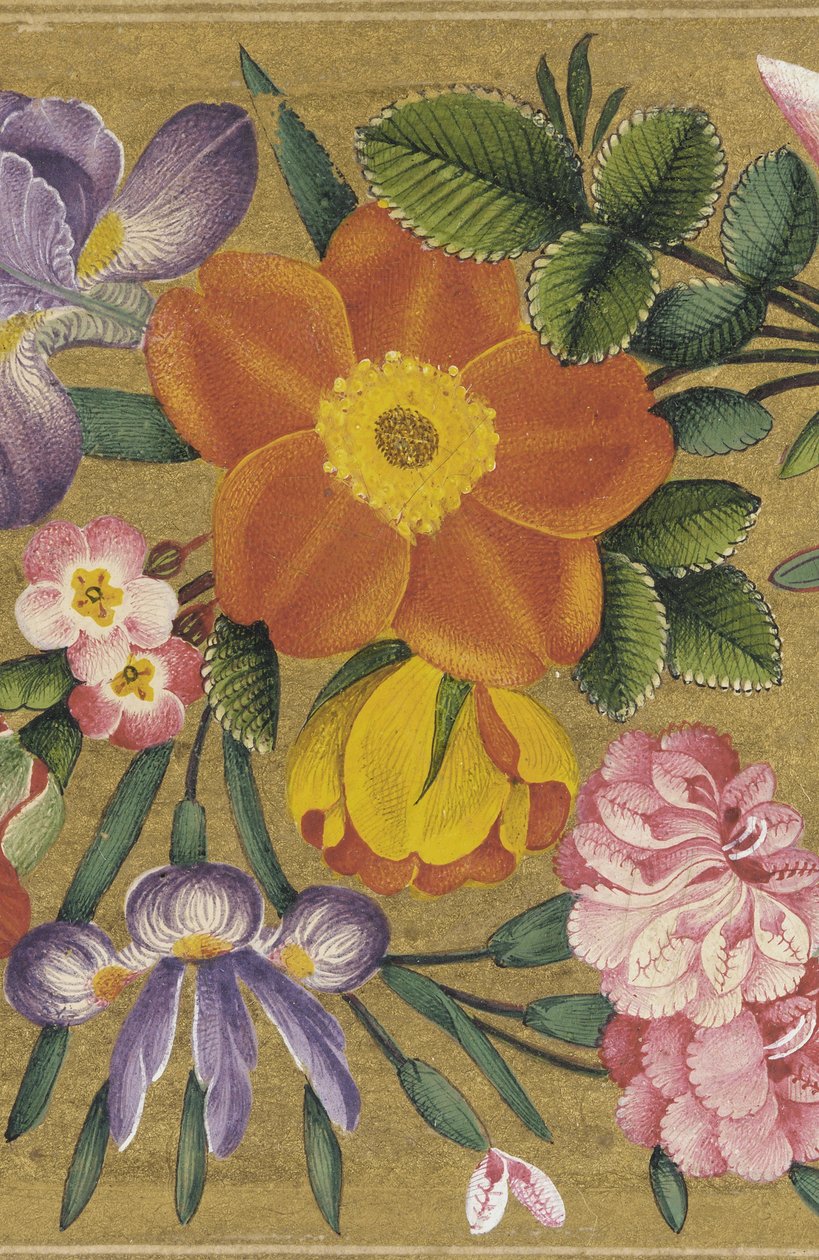 Side fra St. Petersburg Album, India, 1727 (farge på gullslipt) av Muhammad Sadiq