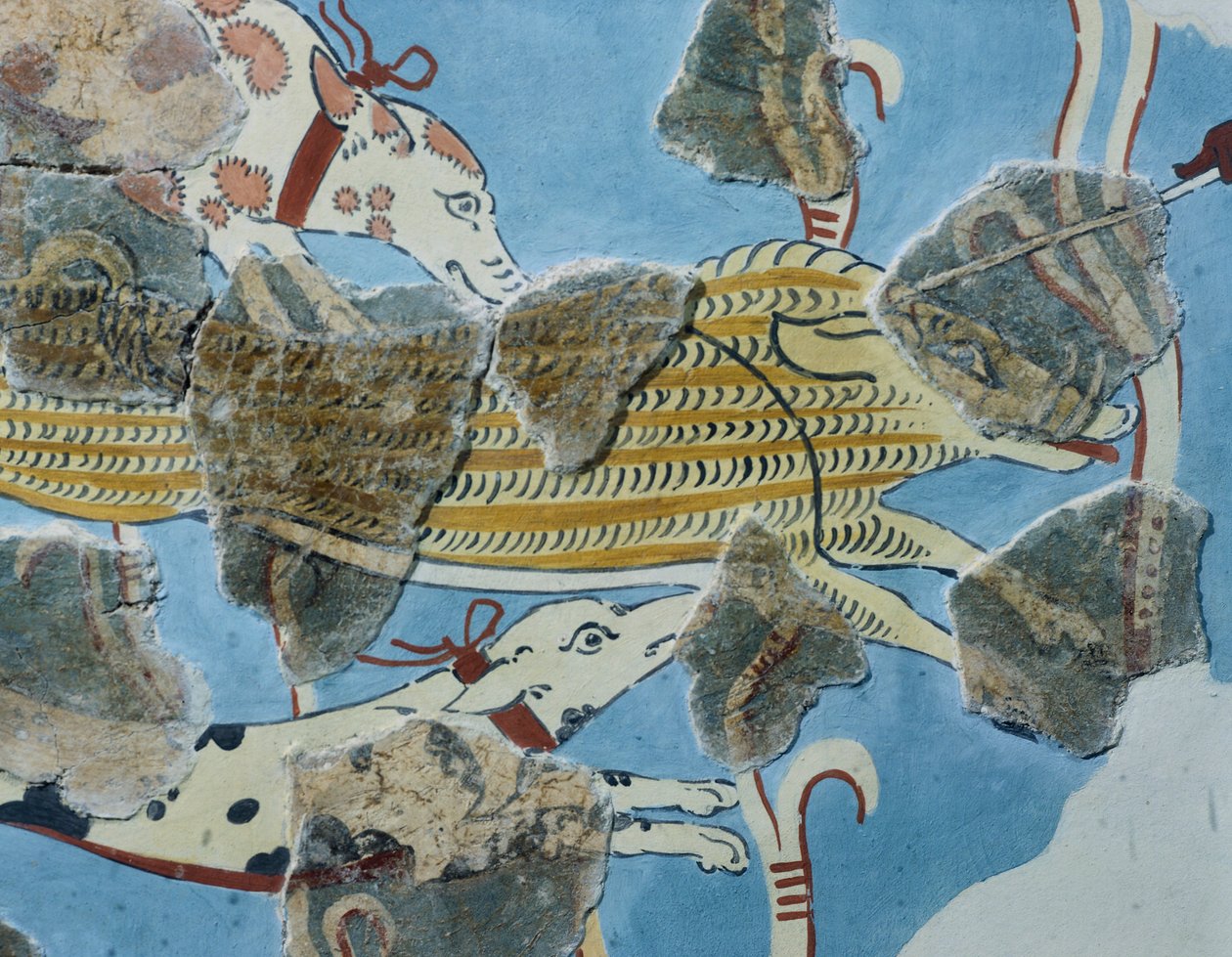 Freske fra Tirinto-palasset (Hellas). Detalj: gruppe hunder som angriper et villsvin. Mykensk sivilisasjon av Mycenean
