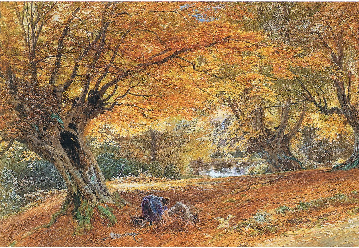Burnham Beeches av Myles Birket Foster