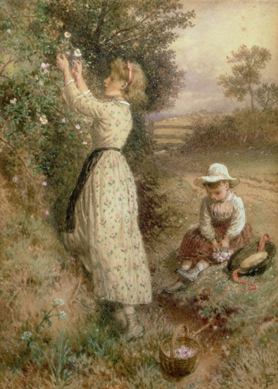 Ville roser av Myles Birket Foster