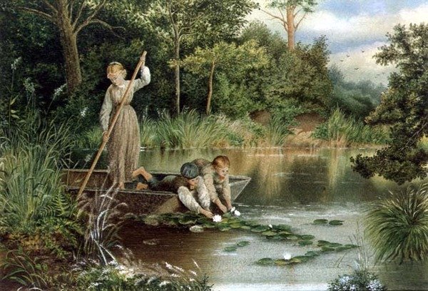 Å samle liljer av Myles Birket (after) Foster