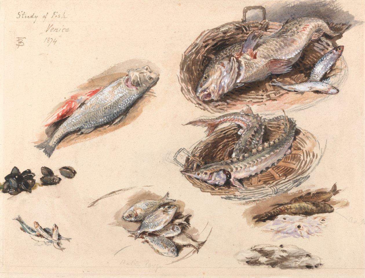 Studie av fisk, Venezia av Myles Birket Foster