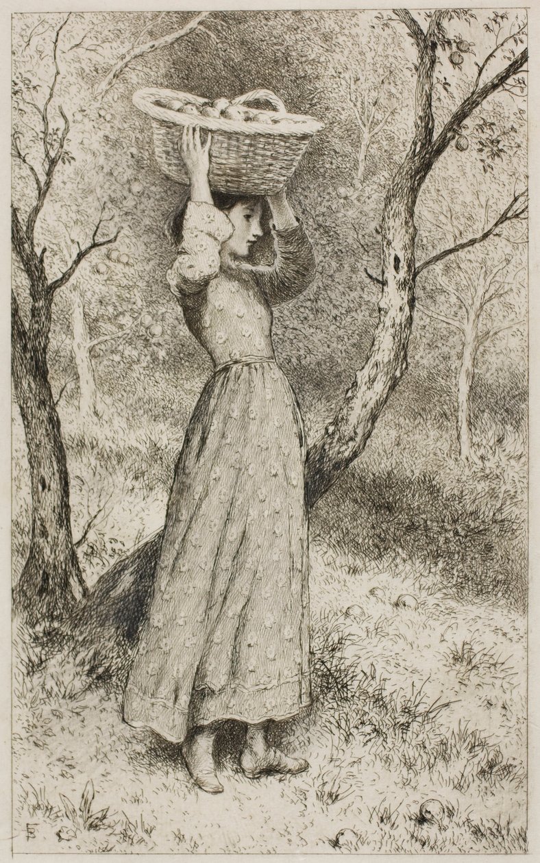 Ung jente i en frukthage med en kurv med frukt av Myles Birket Foster