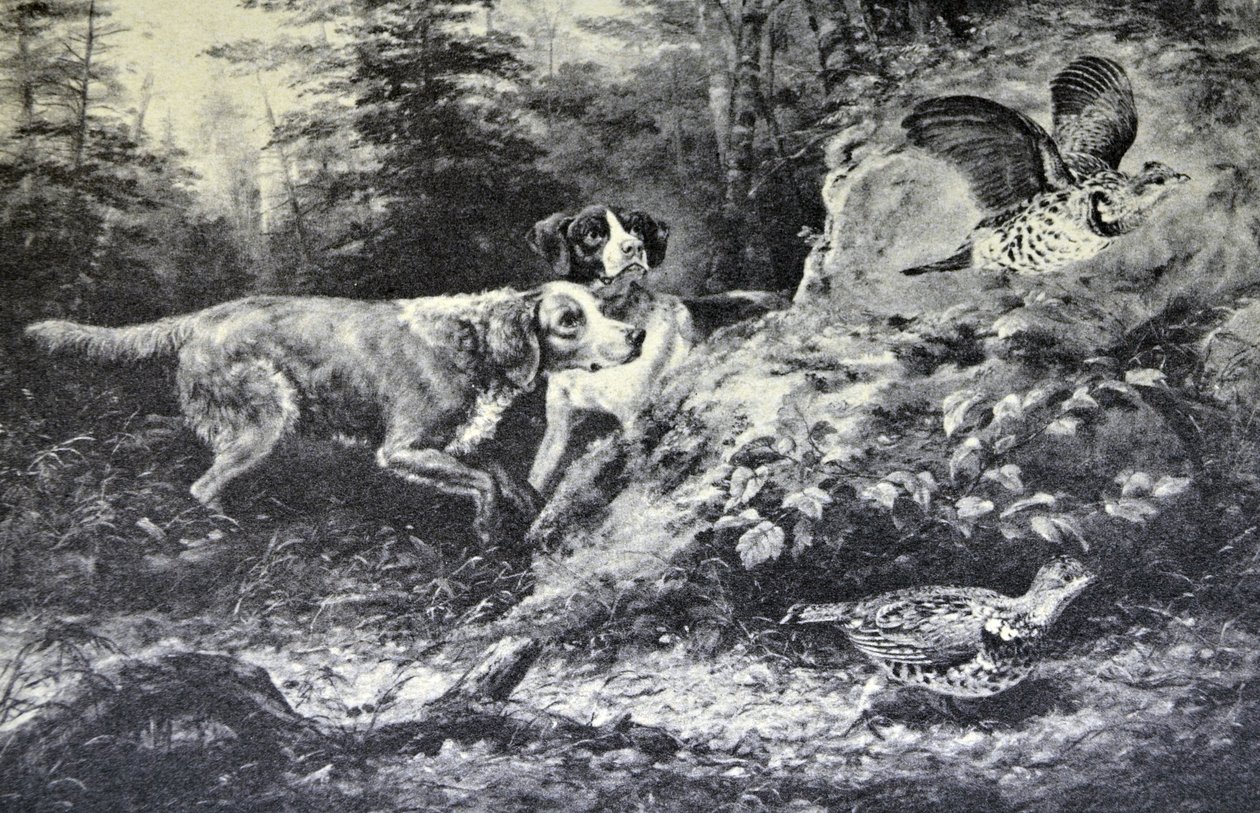 Currier & Ives Illustrasjon 1800-tallet. Amerikansk feltsport. Flushd (original oljemaleri av Arthur Fitzwilliam Tait, N.A., som trykket ble laget av. av N. and Ives, J.M. Currier