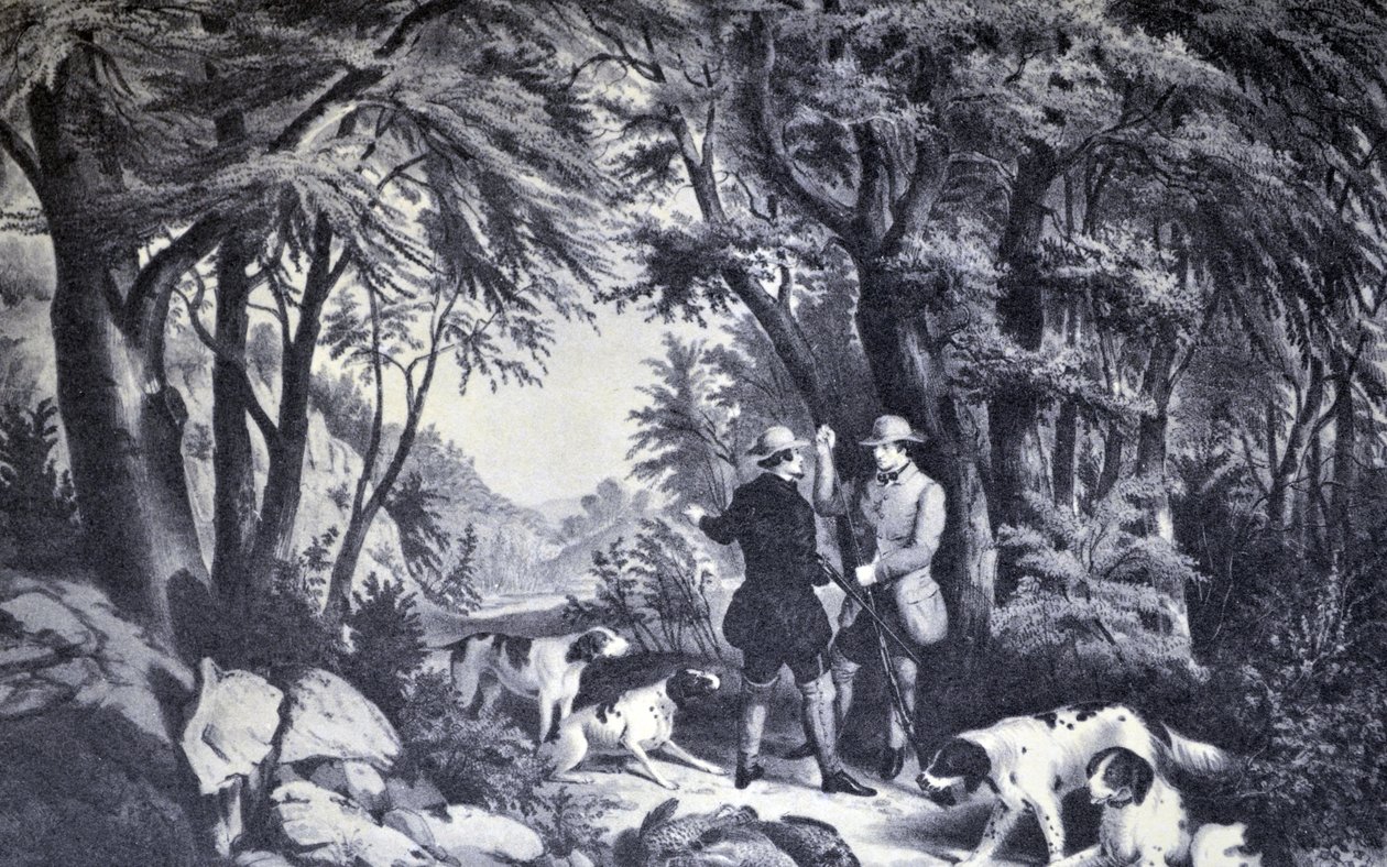 Currier & Ives Illustrasjon 1800-tallet. Rapphøneskyting av N. and Ives, J.M. Currier