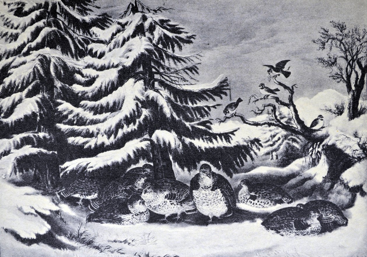 Currier & Ives Illustrasjon 1800-tallet. Oppsnødd, krøllet rype om vinteren av N. and Ives, J.M. Currier
